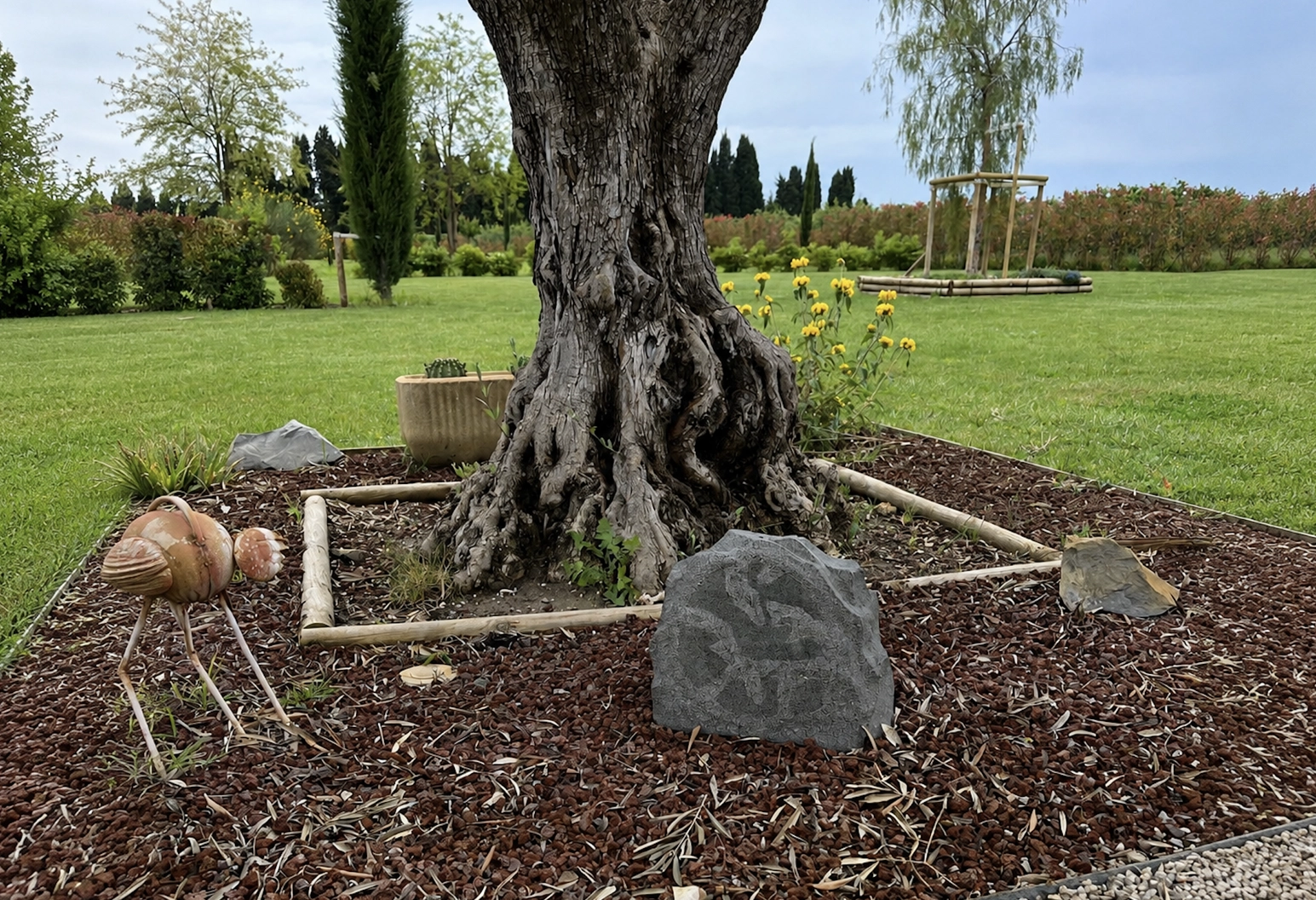 Gros plan sur le tronc d'un grand arbre ancien aux racines apparentes, entouré d'un petit massif recouvert de paillis brun, d'une pierre portant des gravures rappelant des pétroglyphes, d'un cactus en pot, de fleurs jaunes et d'une petite sculpture évoquant un oiseau aux longues pattes fines, le tout situé dans un parc verdoyant.