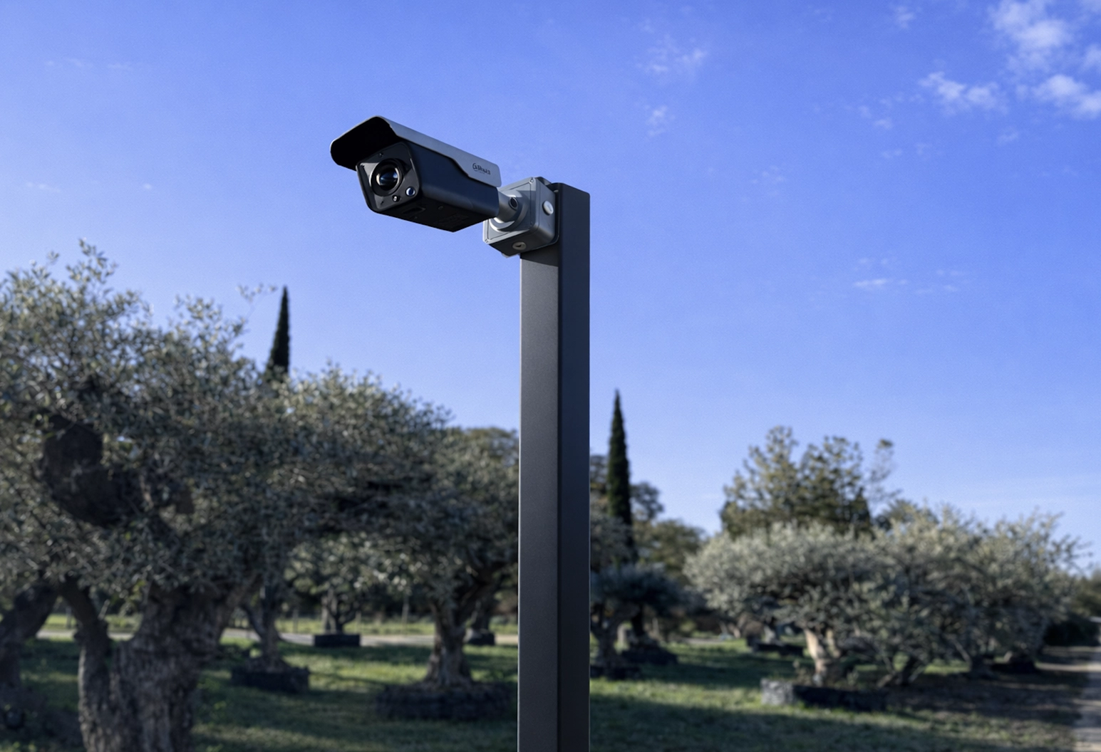 Caméra de surveillance noire fixée à un haut poteau gris foncé en extérieur, avec pour arrière-plan des oliviers et un ciel bleu dégagé.